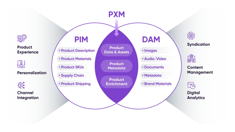 https://www.it-present.com/wp-content/uploads/2026/04/dam-pim-pxm.webp